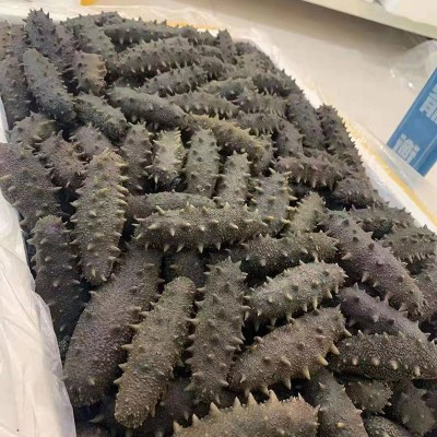 大连辽刺参盐渍半干海参拉缸盐海参批发 非即食海参干货批发500g 1件图4