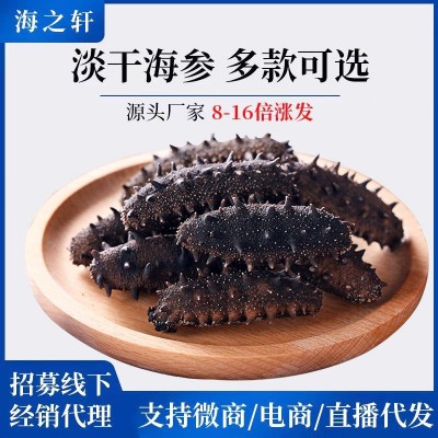 大连纯淡干辽刺淡干海参干货一件起批散装海参礼盒装非即食海参 1件