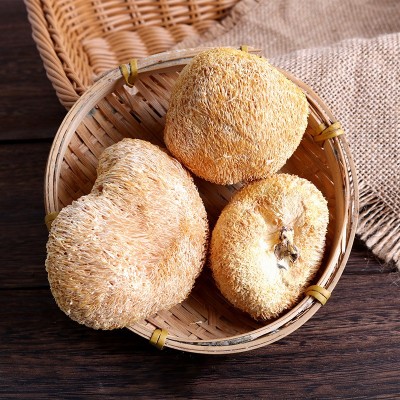 2025古田猴头菇 农产品特产猴头菇干货 食用菌 猴菇厂地批发250克 2件