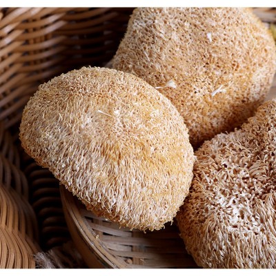 2025古田猴头菇 农产品特产猴头菇干货 食用菌 猴菇厂地批发250克 2件图5