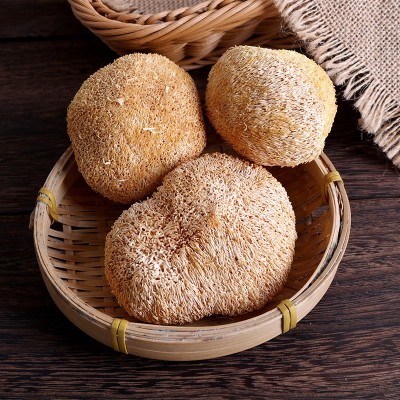 2025古田猴头菇 农产品特产猴头菇干货 食用菌 猴菇厂地批发250克 2件图2