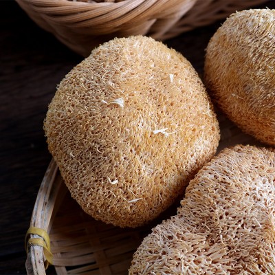 2025古田猴头菇 农产品特产猴头菇干货 食用菌 猴菇厂地批发250克 2件图3