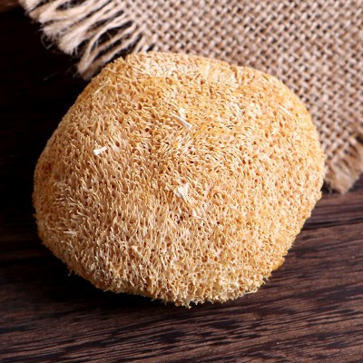 2025古田猴头菇 农产品特产猴头菇干货 食用菌 猴菇厂地批发250克 2件图4