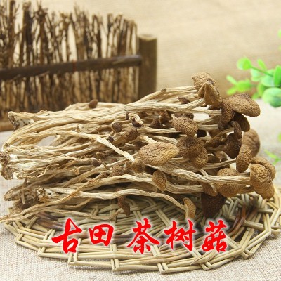 产地量大批发 南北干货食用菌古田茶树菇 不开伞茶树菇500克 2件