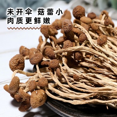 【批发代加工】菌妍干茶树菇不开伞茶菇菌菇干货未开伞柴火烘干 2包图2