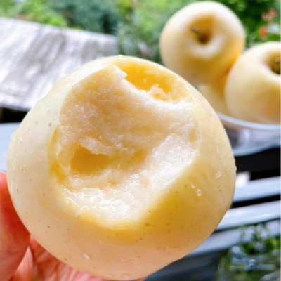 正宗烟台黄金奶油富士苹果当季水果新鲜苹果冰糖心脆甜整箱批发 1箱图2