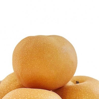山东莱阳秋月梨莱阳梨整箱批发薄脆多汁脆甜皮薄新鲜水果冰糖梨子 1箱图5