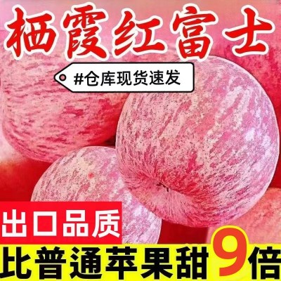 正宗烟台栖霞红富士苹果脆甜多汁新鲜苹果应季水果整箱包邮批发 1箱