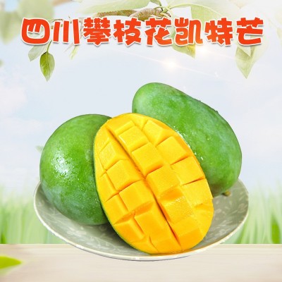 四川攀枝花凯特芒 代发3大果新鲜甜糯大脸芒果当季水果非大青芒 1件