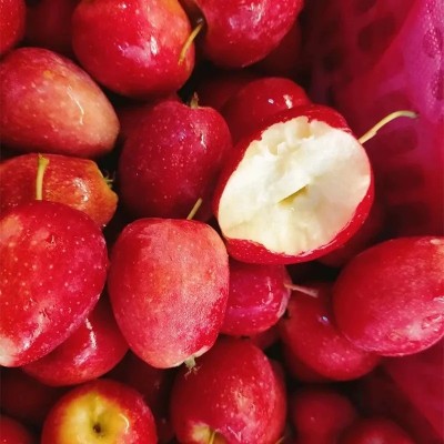 东北鸡心果新鲜水果小苹果包邮产地直发鸡心果一件代发 1件图2