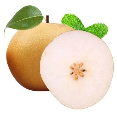 山东安徽秋月梨新鲜水果梨子顺丰包邮应季水果秋月梨一件代发 1件图5