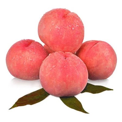 山东突围水蜜桃当季水果水蜜桃整件包邮新鲜桃子一件代发 1件图5