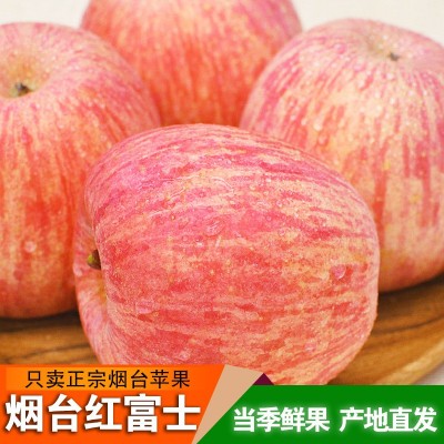正宗烟台红富士苹果条纹片红红富士脆甜多汁产地直发一件代发礼盒 1箱