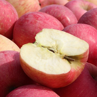 正宗烟台红富士苹果条纹片红红富士脆甜多汁产地直发一件代发礼盒 1箱图3