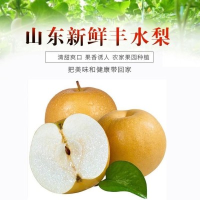 山东丰水梨 脆于秋月梨莱阳新鲜水果产地酥脆梨代发梨子 中秋礼盒 1箱图2