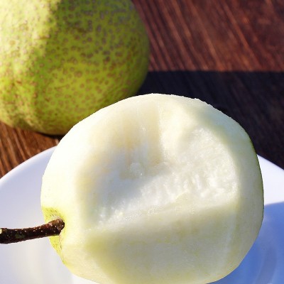 山东莱阳慈梨整箱大果莱阳慈梨礼盒装应季新鲜水果批发一件代发 1箱图4