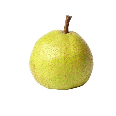 山东莱阳慈梨整箱大果莱阳慈梨礼盒装应季新鲜水果批发一件代发 1箱图5