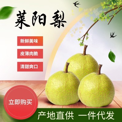 山东莱阳慈梨整箱大果莱阳慈梨礼盒装应季新鲜水果批发一件代发 1箱