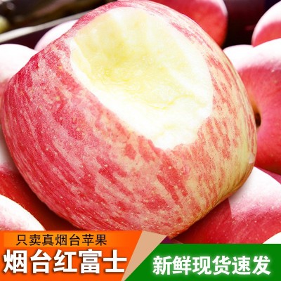 烟台红富士苹果【全年供用】新鲜栖霞生鲜水果正宗脆甜多汁 1箱
