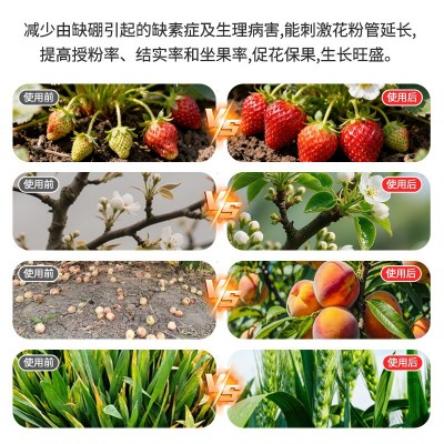 糖醇硼叶面肥促进花芽分化坐果农用硼肥微量元素螯合糖醇硼 1千克图3
