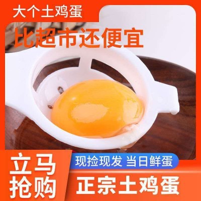 【晨诚】新鲜农家土鸡蛋农家散养柴鸡蛋笨鸡蛋草鸡蛋生态草鸡蛋 1件图3