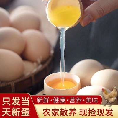【晨诚】新鲜农家土鸡蛋农家散养柴鸡蛋笨鸡蛋草鸡蛋生态草鸡蛋 1件图4