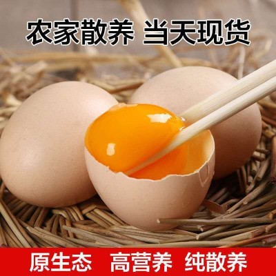 360枚土鸡蛋批发新鲜农家散养柴鸡蛋笨鸡蛋草鸡蛋整箱 720枚