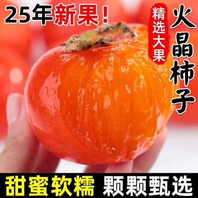 陕西流心火晶柿子甜蜜软糯放软吃应季新鲜水果水晶软甜小柿子包邮 1件图3