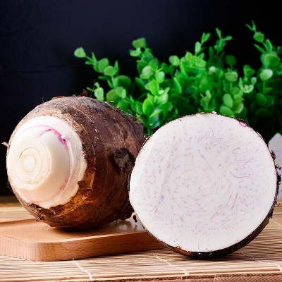 正宗广西荔浦芋头10斤蔬菜特大槟榔芋香芋毛芋种植基地新鲜采挖发 1件图2