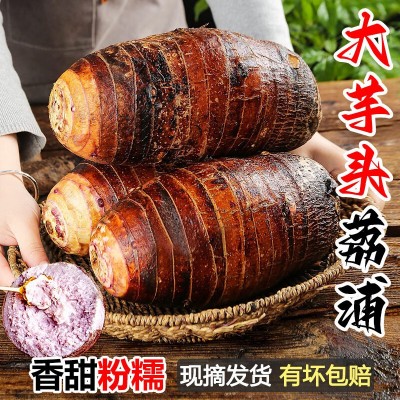 正宗广西荔浦芋头10斤蔬菜特大槟榔芋香芋毛芋种植基地新鲜采挖发 1件