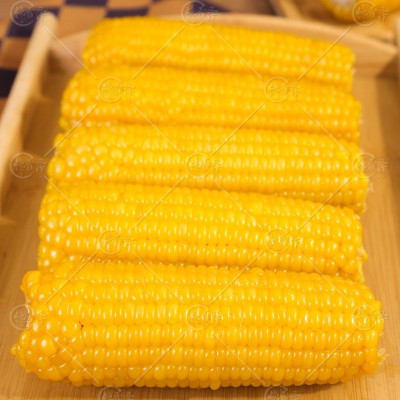 【当季头茬玉米】东北黄糯玉米非即食真空装新鲜黏甜苞米早餐代餐 5个图4