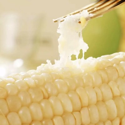 【当季头茬玉米】东北白糯玉米非即食真空装新鲜黏甜苞米早餐代餐 5个图2