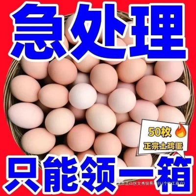 现捡现发农家散养土鸡蛋新鲜柴鸡蛋营养虫草蛋整箱笨鸡蛋40枚一箱 1箱图2