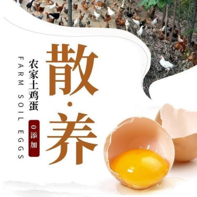 【40枚土鸡蛋】农家土鸡蛋笨鸡蛋散养蛋虫草蛋现捡现发新鲜土鸡蛋 1箱图2
