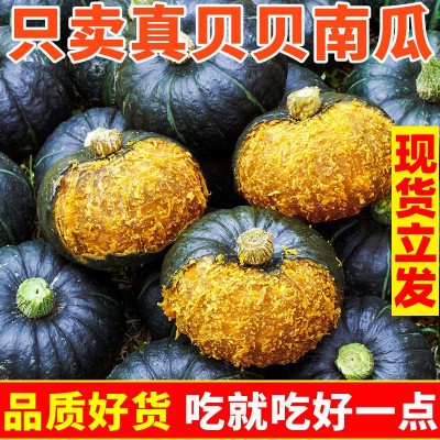 包邮一件代发南瓜贝贝板栗味粉水果面香甜新鲜节日礼盒集采 1箱