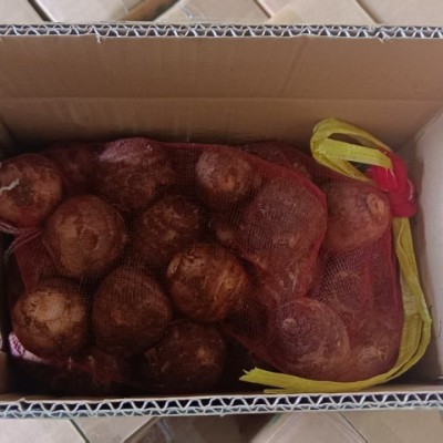 山东潍坊小芋头牛奶毛鲜香新鲜现货中球包邮一件代发产地直发现挖 1箱图4