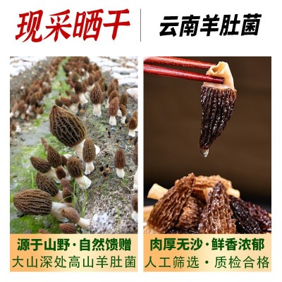 一件代发云南羊肚菌羊雀菌手选个头均匀肉个头小小美味