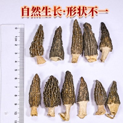 一件代发云南羊肚菌羊雀菌手选个头均匀肉个头小小美味图4