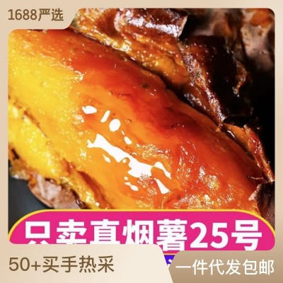 山东烟薯25号蜜薯糖心红薯新鲜种植香甜流油包邮一件代发蜜 薯地瓜  1件