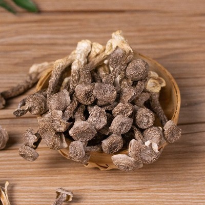 一件代发鹿茸菇干货鹿茸菌500g包邮古田脆脆菇新鲜特级煲汤香菇图2