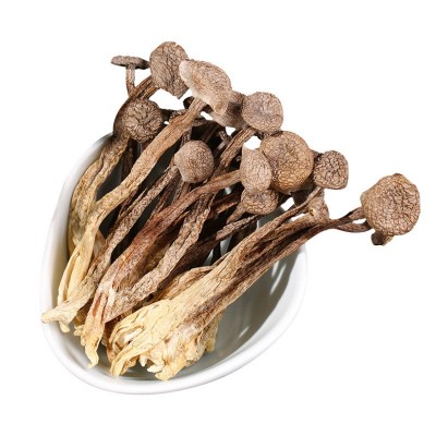 一件代发鹿茸菇干货鹿茸菌500g包邮古田脆脆菇新鲜特级煲汤香菇图4