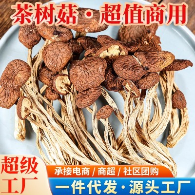 【一件代发】新鲜茶树菇干货菜类茶树菇菌菇煲汤商用散装
