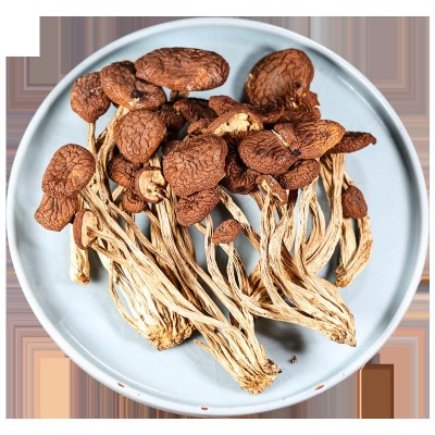 【一件代发】新鲜茶树菇干货菜类茶树菇菌菇煲汤商用散装图3