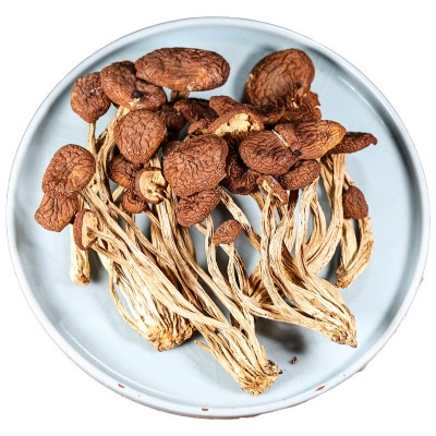 【一件代发】新鲜茶树菇干货菜类茶树菇菌菇煲汤商用散装图2