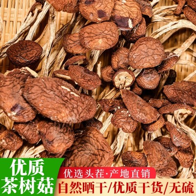 【一件代发】新鲜茶树菇干货菜类茶树菇菌菇煲汤商用散装图5