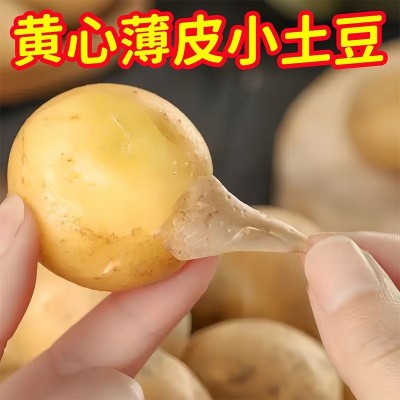 湖北蔬菜新鲜恩施小土豆黄皮黄心土豆农家自种土豆马铃薯洋芋薄皮 1箱图2