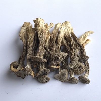 君志 切根鹿茸菇干货批发500g鹿茸菌煲汤食材 2023新货图2