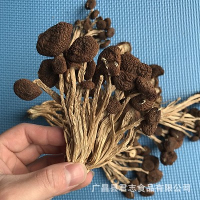 君志 礼品装江西广昌5号茶树菇干货批发 不开伞特级新鲜食用菌图4