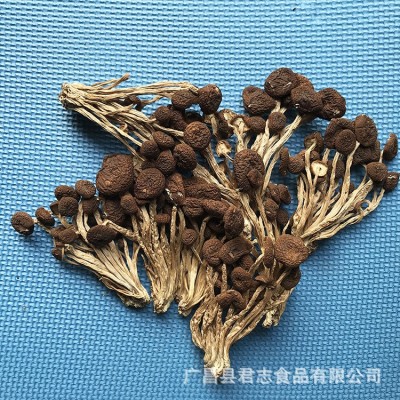 君志 礼品装江西广昌5号茶树菇干货批发 不开伞特级新鲜食用菌图3