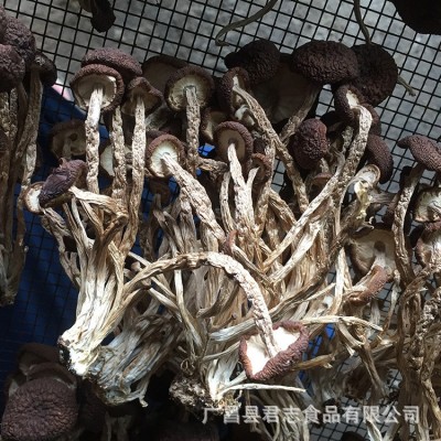 君志 新货江西广昌茶树菇干货批发不开伞5号菇黑帽菇散装食用菌图3